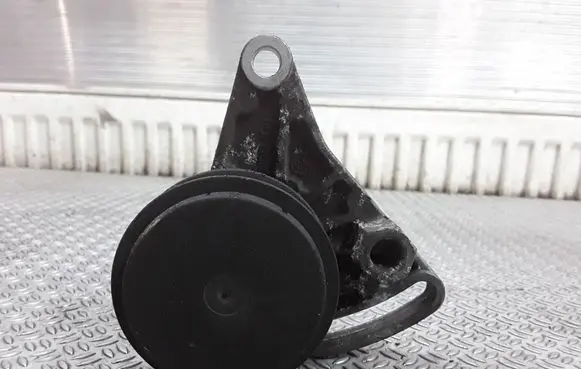 Volkswagen PASSAT B5.5 Belt tensioner pulley 058260511