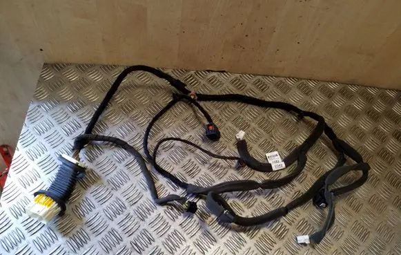 Chevrolet Captiva Front door wiring loom 95491042