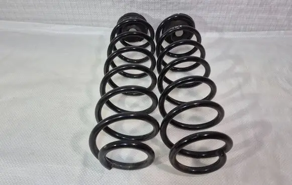 Rear coil spring