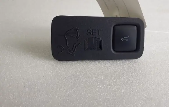 Ford Mustang Mach-E Tailgate/boot open switch button LJ8BR40726CB GYB1A