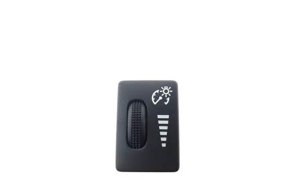 Panel lighting control switch