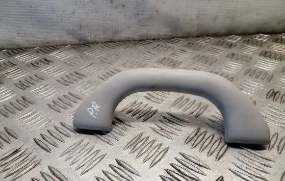 Front interior roof grab handle
