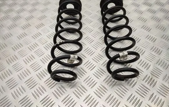 Rear coil spring