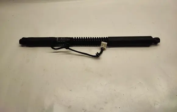 Tesla Model X Rear door hinge set 106344000D