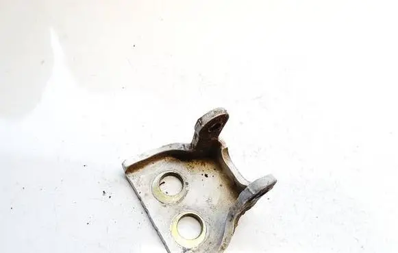 Citroen C4 I Rear door lower hinge