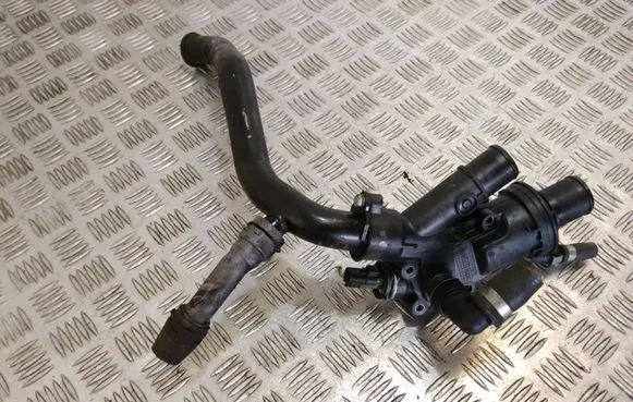 Thermostat/thermostat housing