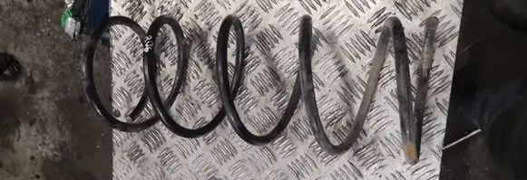 Peugeot 206 Rear coil spring