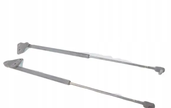 Ford Focus C-MAX Tailgate strut 