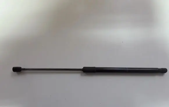 Tailgate strut