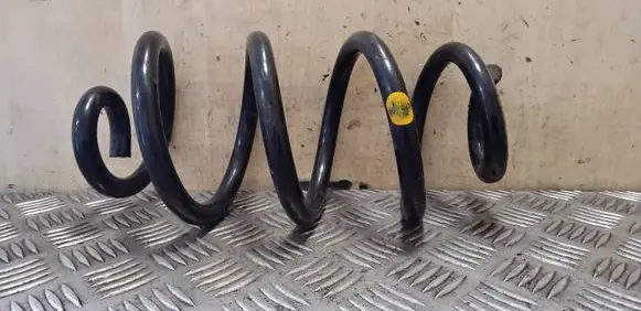 Nissan X-Trail T31 Rear coil spring