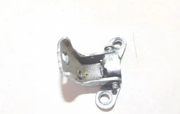 Rear door lower hinge