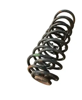 Rear coil spring