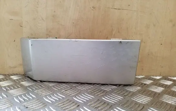 Rear/tail light trim molding