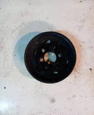 Volkswagen Golf IV Power steering pump pulley 038145255C