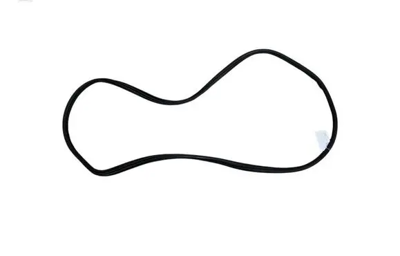 BMW X3 G01 Front door rubber seal 7393423