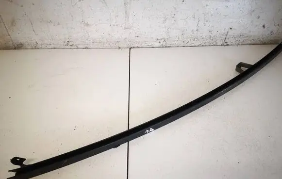 Renault Scenic II - Grand scenic II Front door glass trim molding