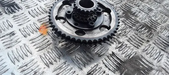 Nissan X-Trail T30 Timing chain sprocket AW4
