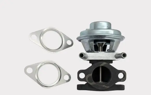 EGR valve
