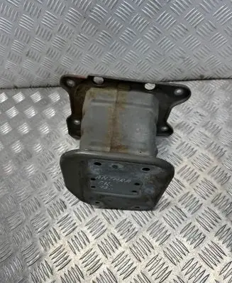 Opel Antara Front bumper shock/impact absorber 