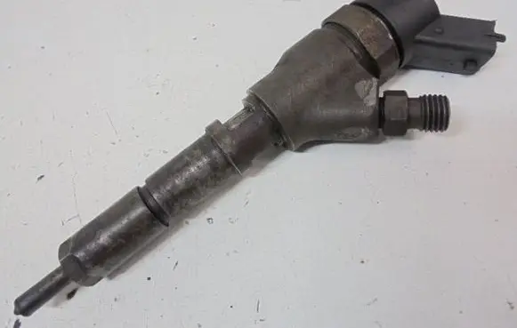 Citroen Berlingo Fuel injector 9640088780