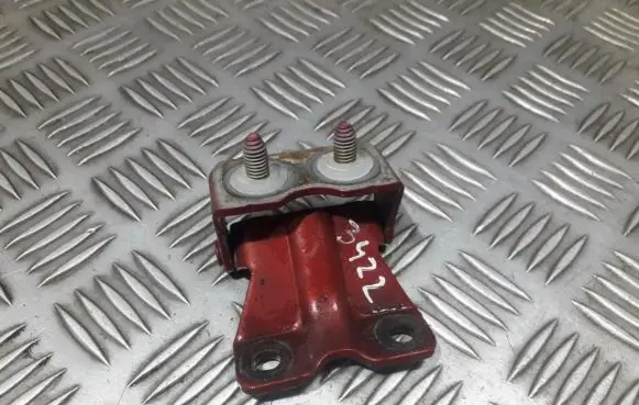 Rear door lower hinge