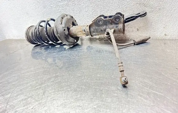 Opel Insignia A Front shock absorber with coil spring 13245976 E4612 367327926