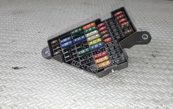Volkswagen Golf V Fuse module