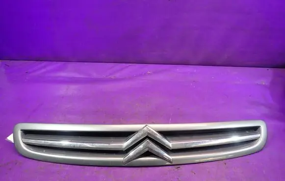 Citroen Xsara Picasso Front grill 9650059377