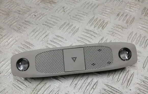 Tesla Model 3 Front seat light P109257300