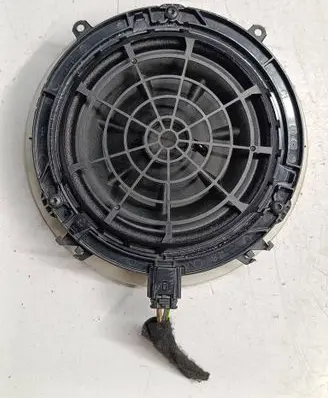 Front door speaker