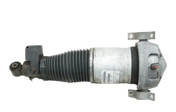 Audi Q7 4L Rear shock absorber/damper 7L8616019A