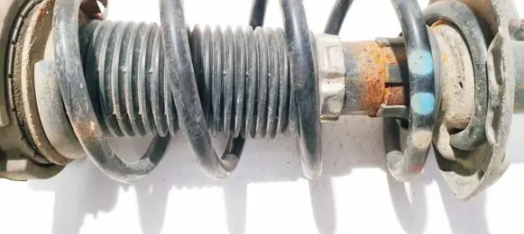Seat Leon (1P) Front coil spring