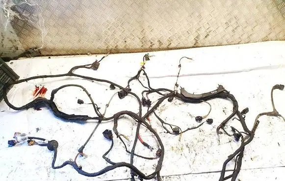 Cupra Born Other wiring loom 1ec971111 2226507156-fah-se