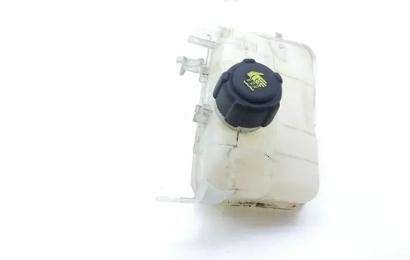 Renault Scenic III - Grand scenic III Coolant expansion tank/reservoir 217100005R