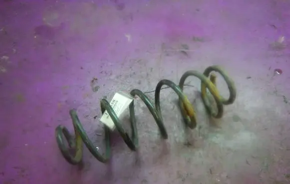 Ford Fusion Rear coil spring
