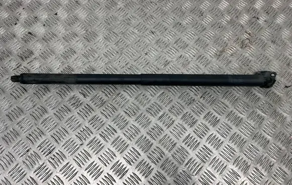 Tesla Model X Tailgate/trunk strut/damper 