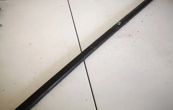 Renault Scenic II - Grand scenic II Rear door glass trim molding