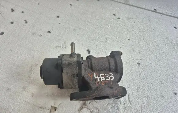 EGR valve