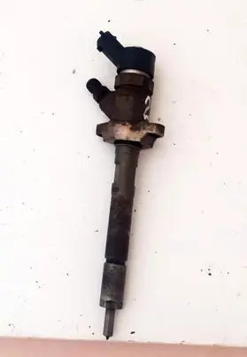 Citroen Berlingo Fuel injector 0445110239