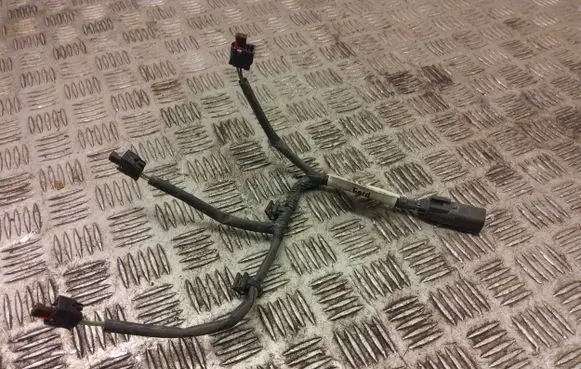 Ford Ecosport Fuel injector wires cm5g9f666