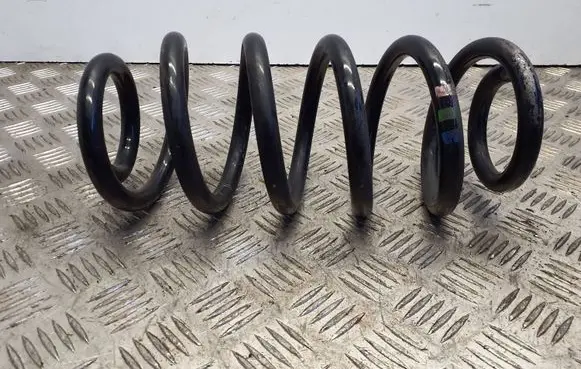 Front coil spring