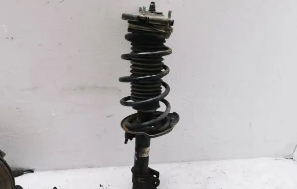 Fiat Punto (199) Front shock absorber/damper