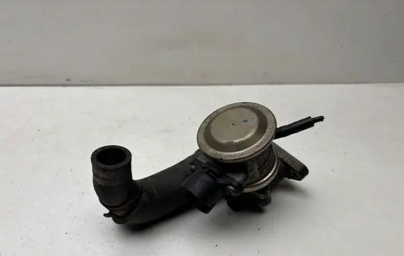 Porsche Cayenne (9PA) EGR valve 022131119B