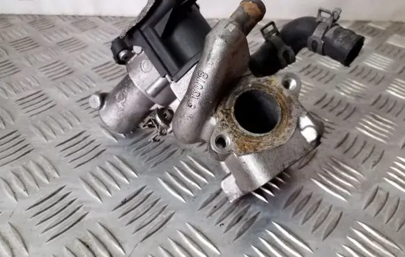 Infiniti EX EGR valve H8200939136