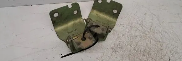 Citroen C3 Pluriel Tailgate/trunk/boot hinge