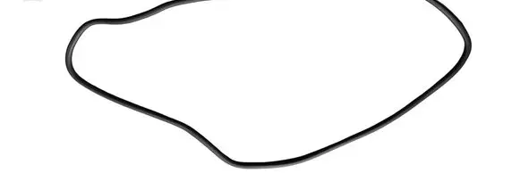 Chrysler Pacifica Sliding door rubber seal 68313522AD