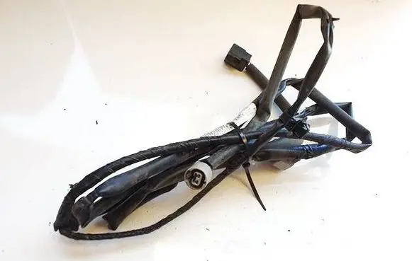 Other wiring loom