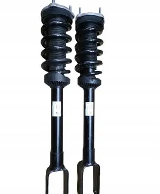 Mercedes-Benz G W463 2nd Gen Rear shock absorber with coil spring A4633208201