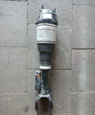 Mercedes-Benz GLE AMG (W166 - C292) Front air suspension shock absorber A2923201400 F309515202 C292VA