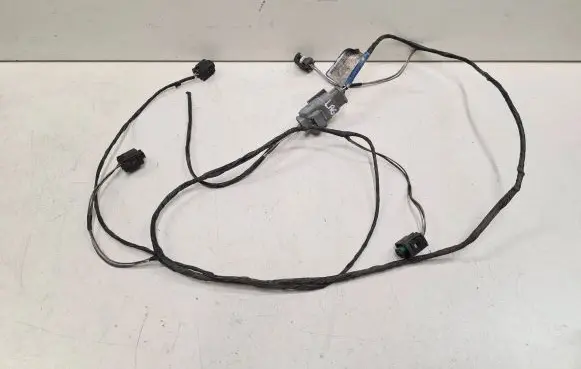 Renault Laguna II Parking sensor (PDC) wiring loom 55RDVN100 003010 297444